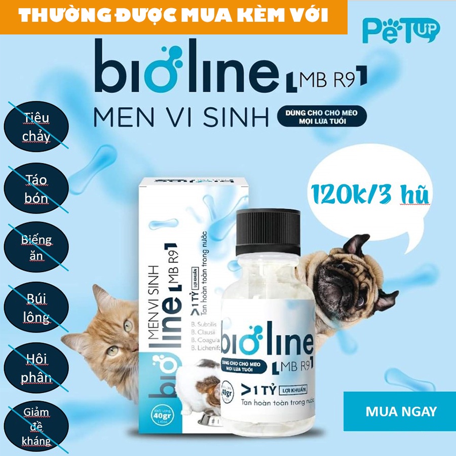 [QUẬN 2 SHIP NOW] PATE WHISKAS DATE XA CHO MÈO TRƯỞNG THÀNH