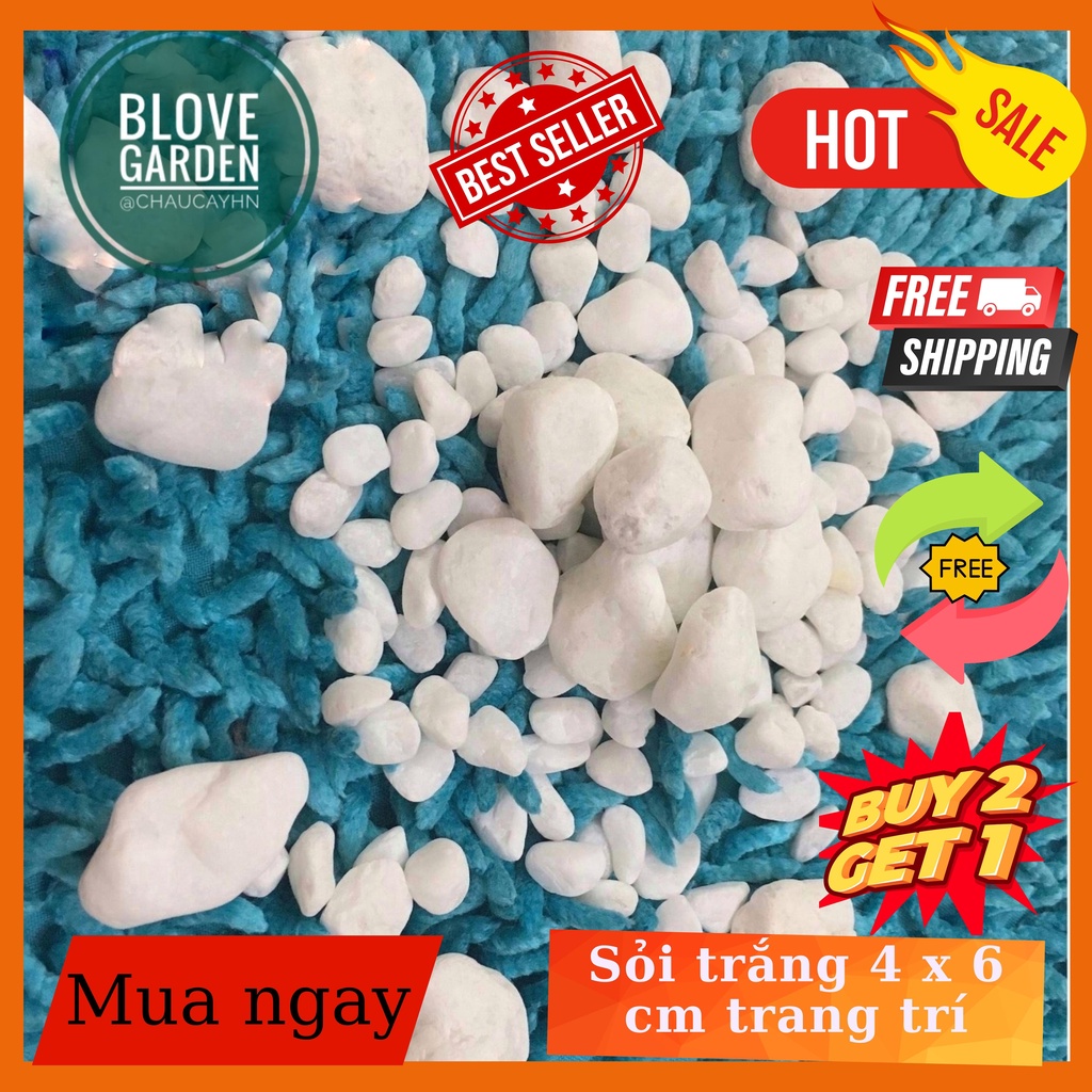 1kg Sỏi trắng to 4 - 5 cm trang trí sân vườn, trang trí thác áp tường hoặc ốp vào các vị trí thành hồ hòn non bộ