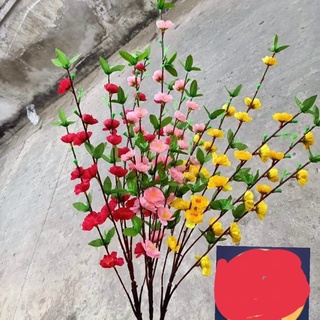 Hoa  Mai Đào tết