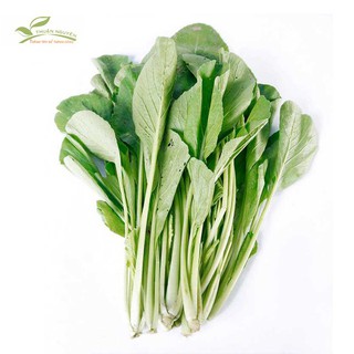 HẠT GIỐNG CẢI CÁC LOẠI