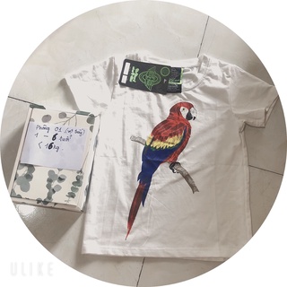 Áo thun cho bé trai, bé gái, áo phông cotton 100% cho bé