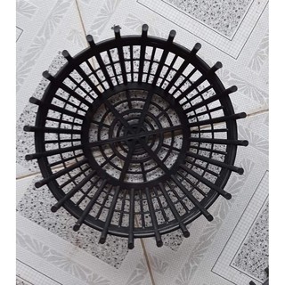 Chậu trồng lan phi 35cm có lan phụ