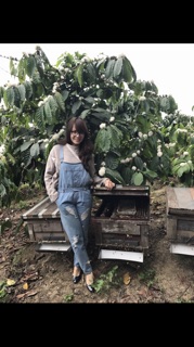 Combo 2 chai mật ong hoa cà phê (1 lít)