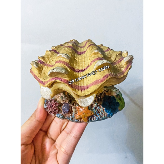 SÒ ĐÓNG MỞ NẮP TRANG TRÍ BỂ CÁ CẢNH 10CM