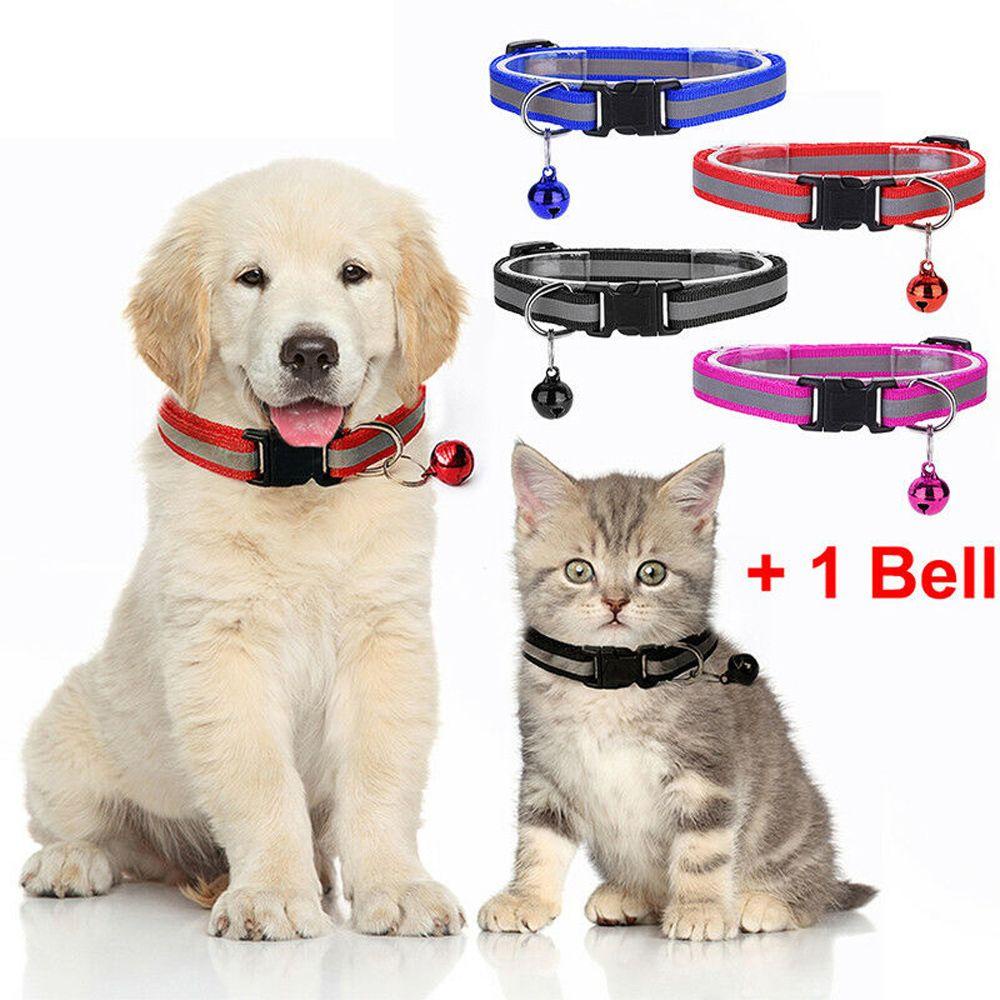 Vòng Cổ Nylon Cho Thú Cưng