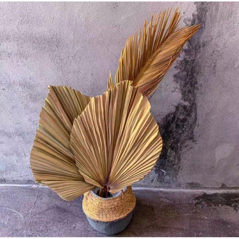 Lá cọ trang trí decor