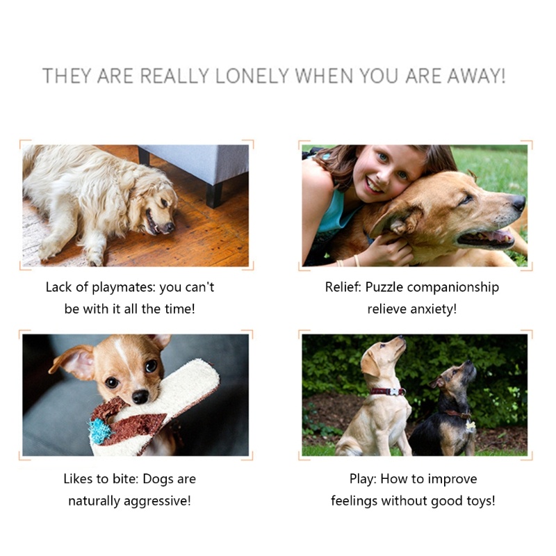 Đồ Chơi Nhồi Bông Hình Cà Rốt Cho Mèo Cưng