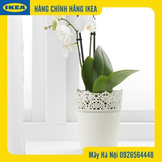 Chậu hoa IKEA ( chính hãng)