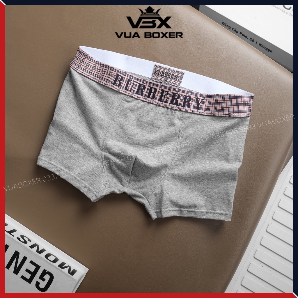 Quần Lót Nam Boxer Vải Cotton Thấm Hút Kháng Khuẩn Co Dãn Đàn Hồi BBR-CT02-TRON