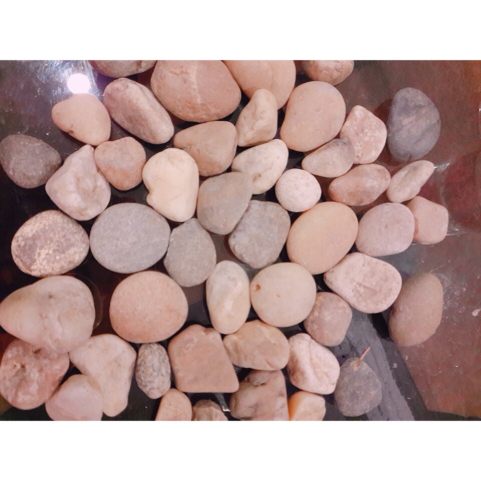 sỏi, đá cuội