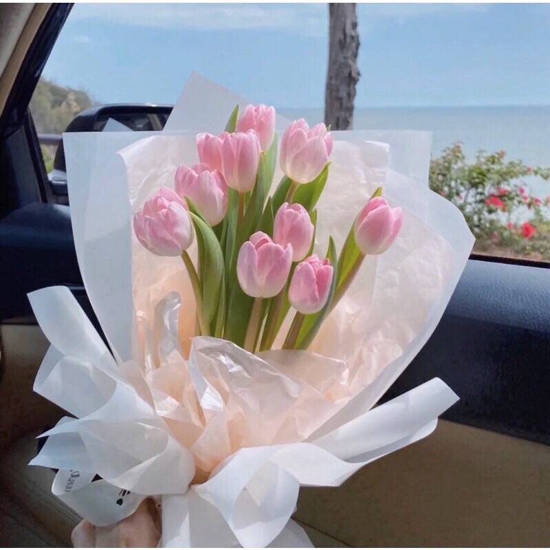 Hoa Tulip Loại Bông Lớn Nhiều Màu Siêu Xinh.