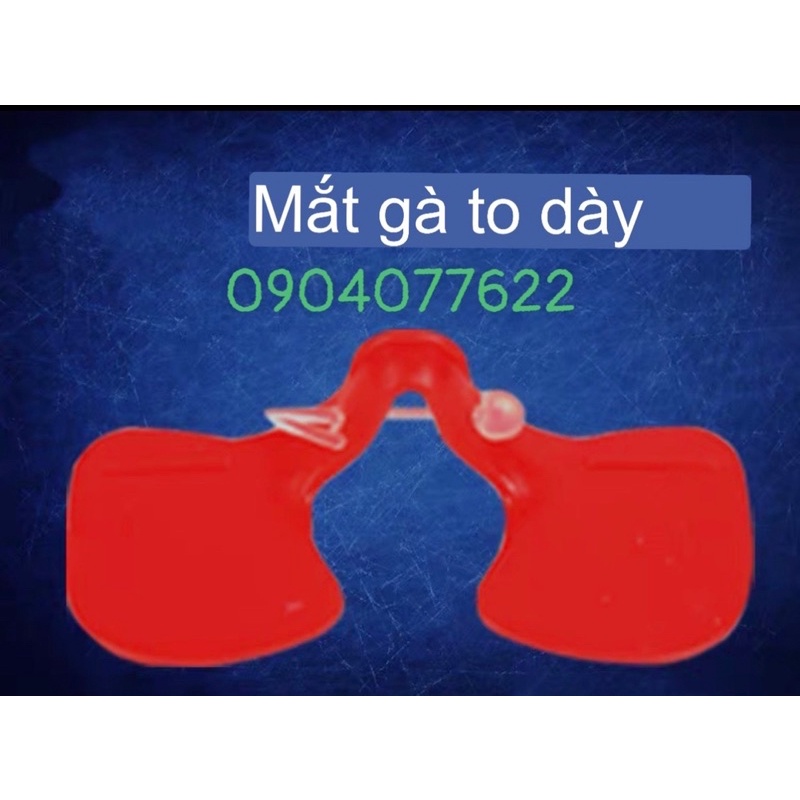 Kính gà - KÍNH CHO GÀ TRE CHIM TRĨ