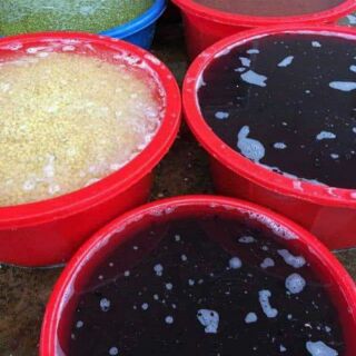 Ngũ cốc lợi sữa mẹ vịt