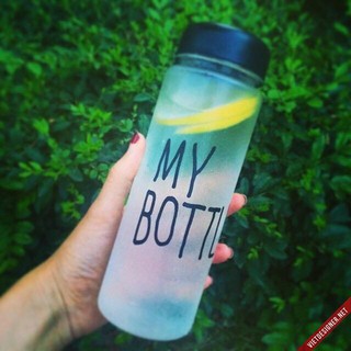 Bình gấu thỏ vịt my bottle