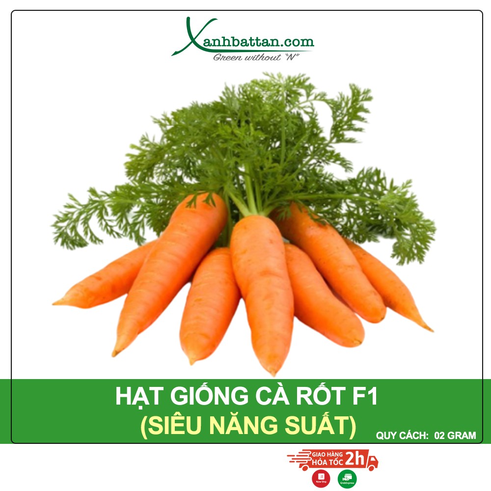 Hạt Giống Cà Rốt New Kuroda Phú Nông Gói 2 Gram