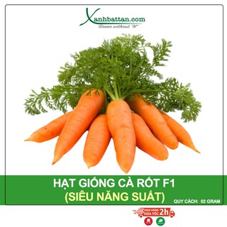 Hạt Giống Cà Rốt New Kuroda Phú Nông Gói 2 Gram