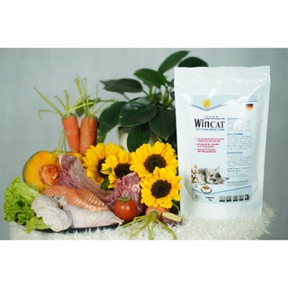 Cám Wincat - thức ăn hạt dành cho mèo con gói 400g