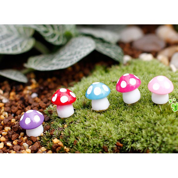 Phụ Kiện Tiểu Cảnh Nấm Mini (Combo 5c), Phu Kiện Terrarium Trang Trí Chậu Cây Sen Đá, Xương Rồng, Hồ Cá, Kệ Tủ Sách