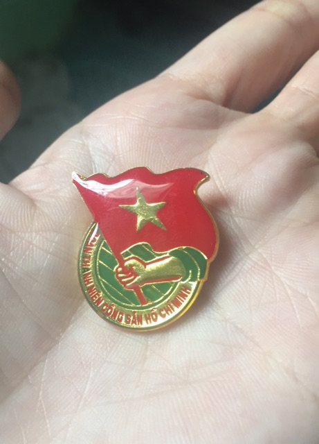 100 huy hiệu Đoàn