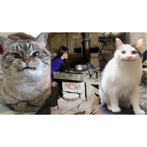 Thức Ăn Cho Mèo Hạt Me-o Kitten Vị Cá Biển Loại 1.1kg - Nahi Shop