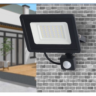 Đèn pha led cảm biến IP66