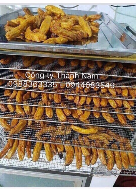 Máy sấy hoa quả 10 khay, Tủ sấy thực phẩm 10 khay