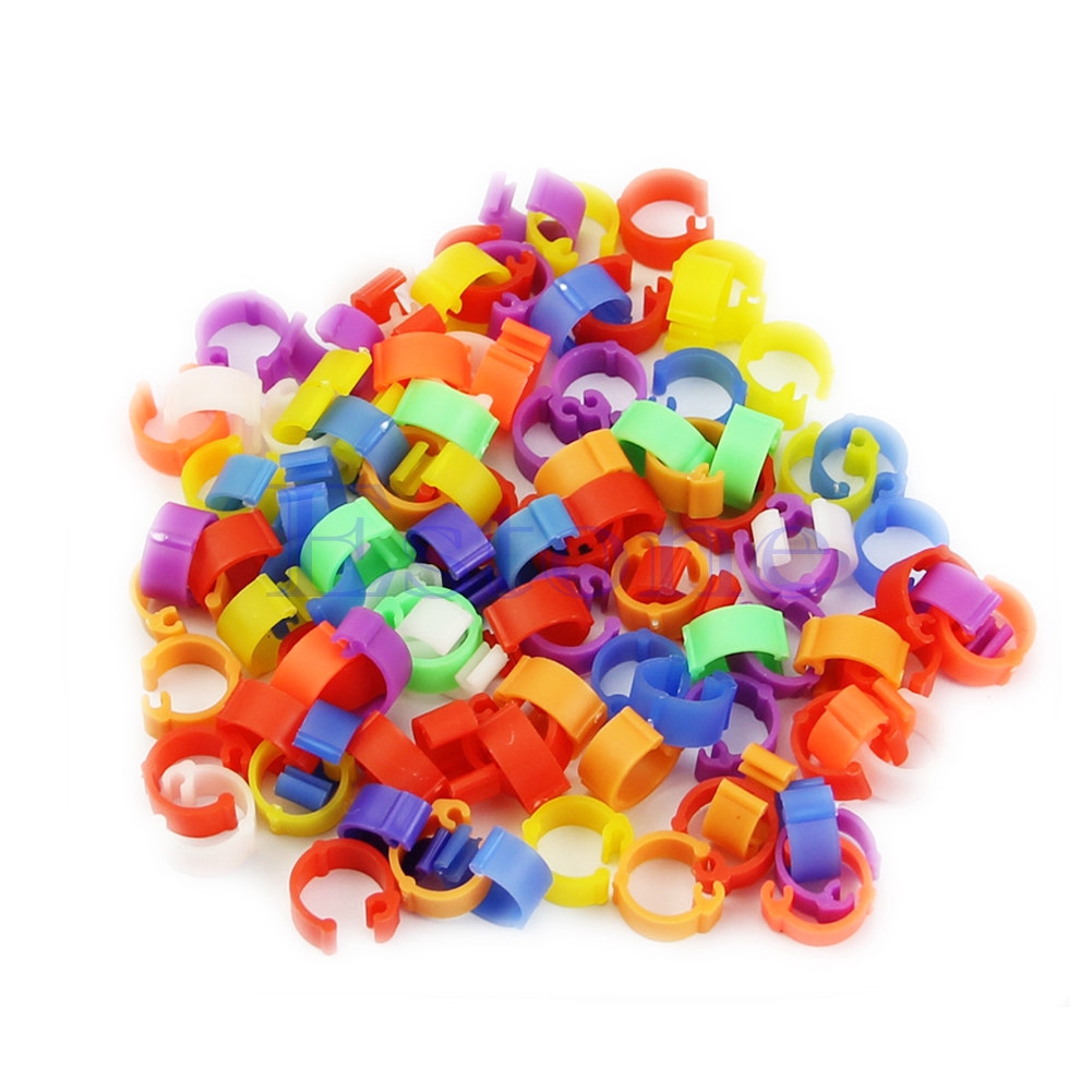 Set 100 Vòng Đeo Chân Chim Bồ Câu Giúp Chống Thất Lạc Tiện Dụng