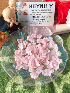 Hoa mai 2 tầng ( nail)