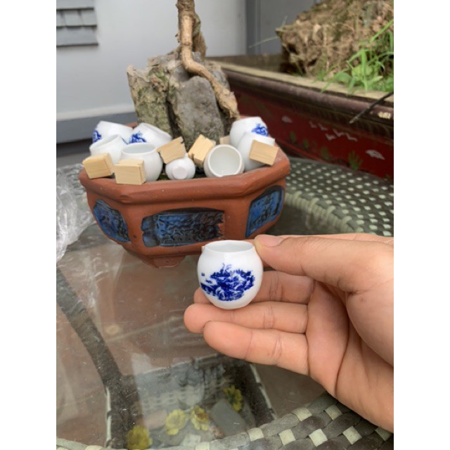 Cóng cho chim ăn Halosung cóng sứ chim khuyên phụ kiện lồng chim PK39