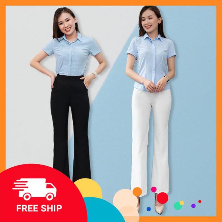 Quần Tây Nữ ống loe , Quần Tây Nữ lưng cao, khóa sườn - MSQ 71