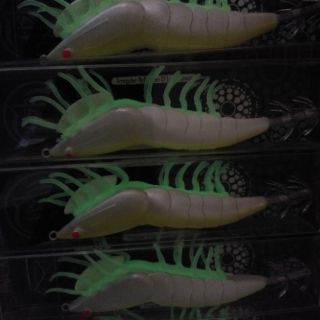 Tôm câu mực Nhật Bản