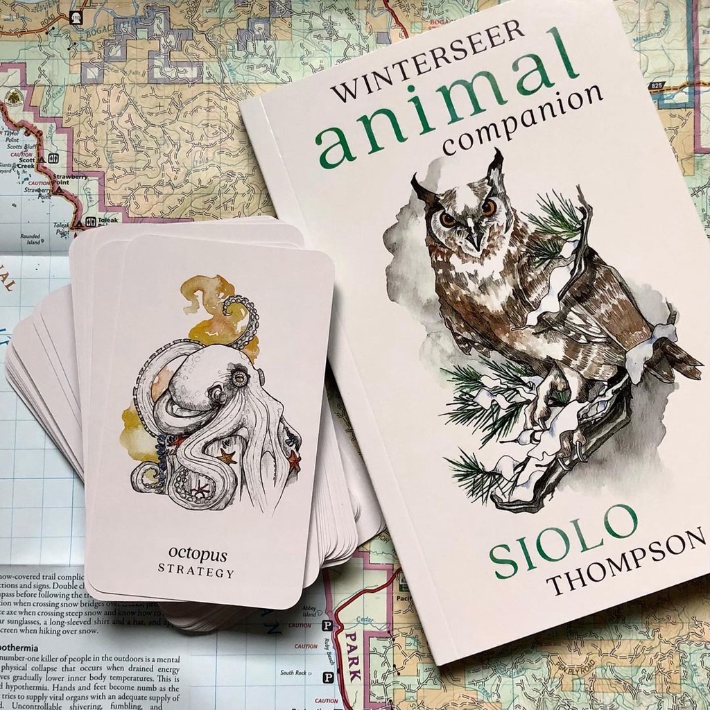 Bộ Bài Winterseer Animal Oracle (Mystic House Tarot) - Bài Gốc Authentic Chính Hãng 100%