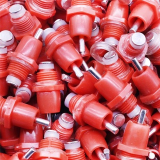 100 Núm Uống Nước Cho Gà