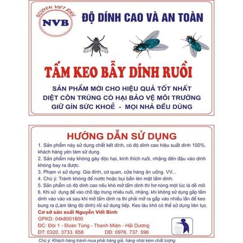 sỉ 100 miếng keo dính ruồi, dán ruồi, bẫy ruồi