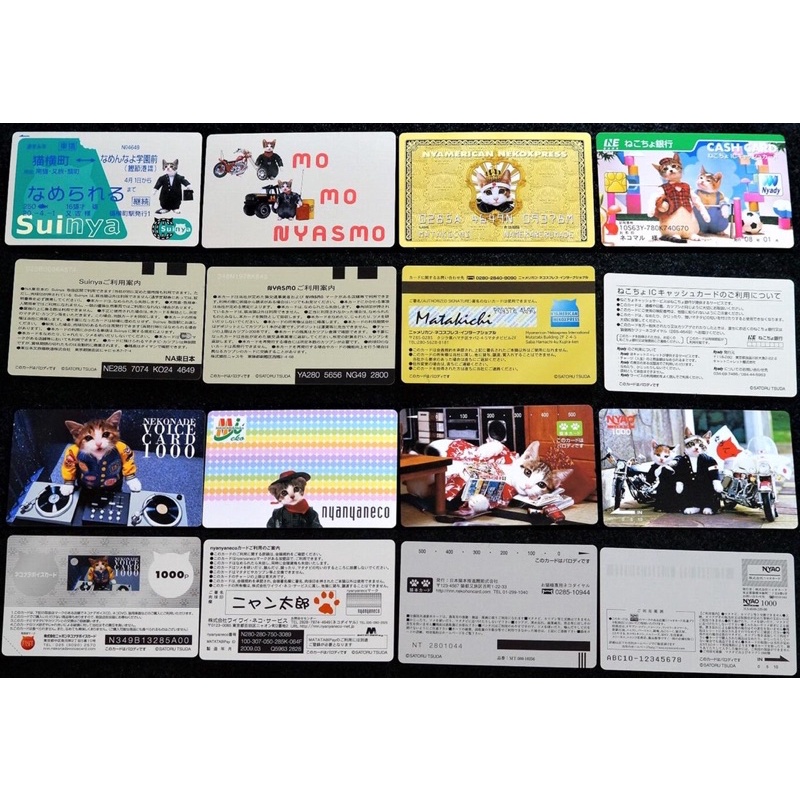 COD - CÓ SẴN PACK ẢNH SƯU TẦM MÈO RANDOM SIÊU CẤP ĐÁNG YÊU