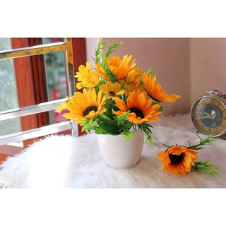 Chậu hướng dương nhỏ để bàn (hoa kèm chậu)