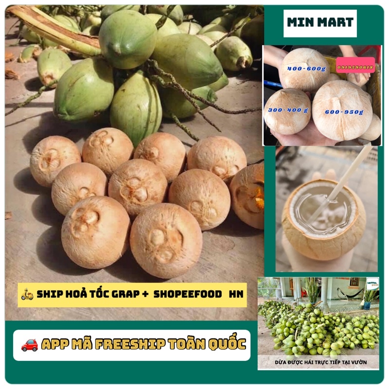 DỪA XIÊM TRỌC BẾN TRE 400g- 600g TẠI HÀ NỘI - DỪA XIÊM XANH BỎ CÙI