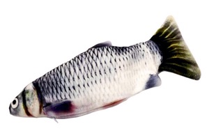 Cá sạc điện