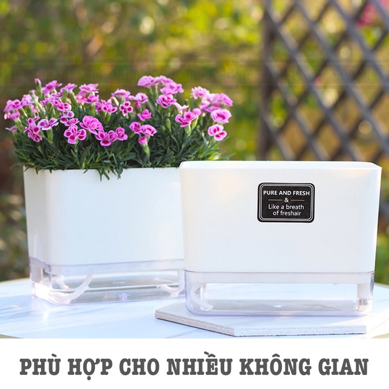Chậu trồng cây thông minh để bàn 2 lớp nhựa cao cấp/ chậu tự tưới/ tự dưỡng không cần tưới nước 11-23cm
