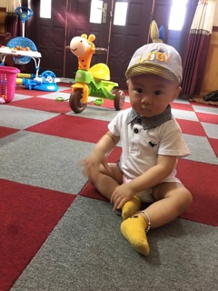 Áo Polo thêu khủng long của Next