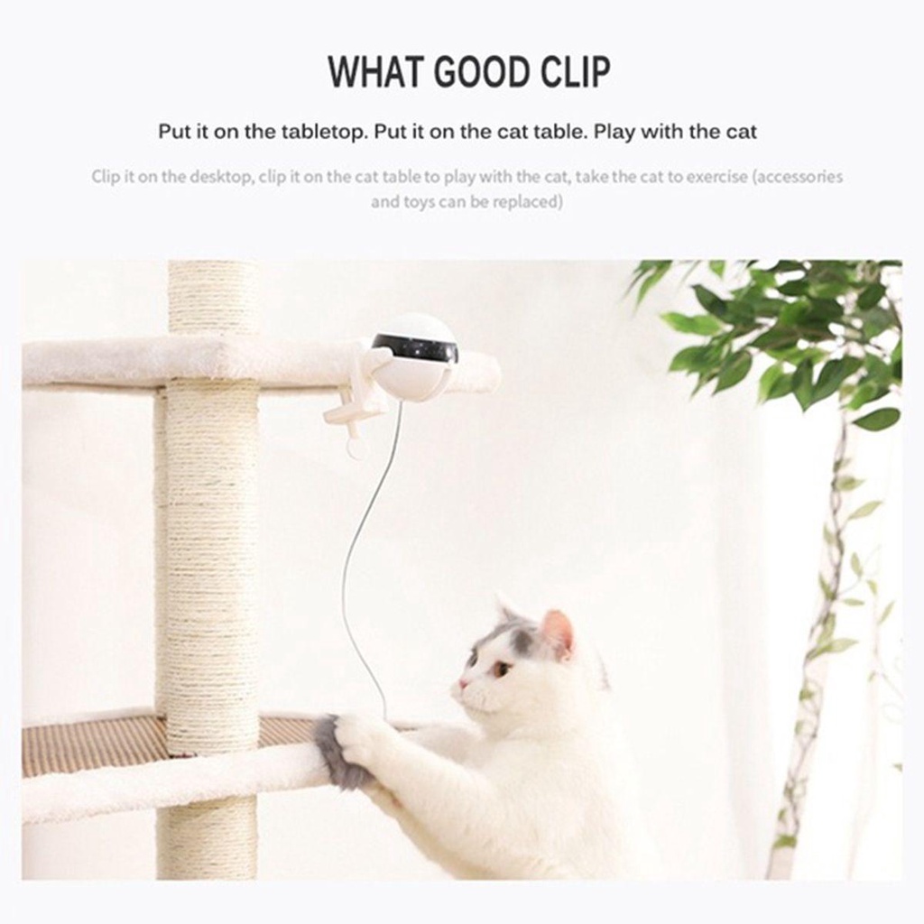 Đồ Chơi Con Quay Yo-Yo Cho Mèo