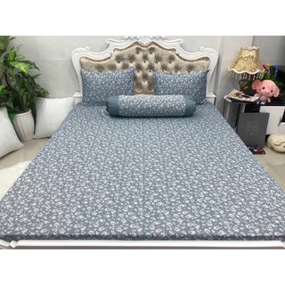 Bộ Drap Thun Hàn Quốc mát lạnh 4 món (Inbox nhiều mẫu lựa chọn)