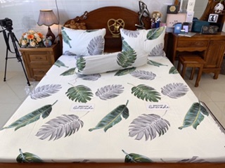 Drap cotton Hàn Quốc