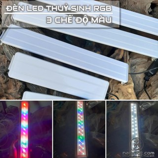Đèn Led Thuỷ Sinh GX-A WRGB - 3 Chế Độ Màu, 4 Dãy Led Siêu Sáng