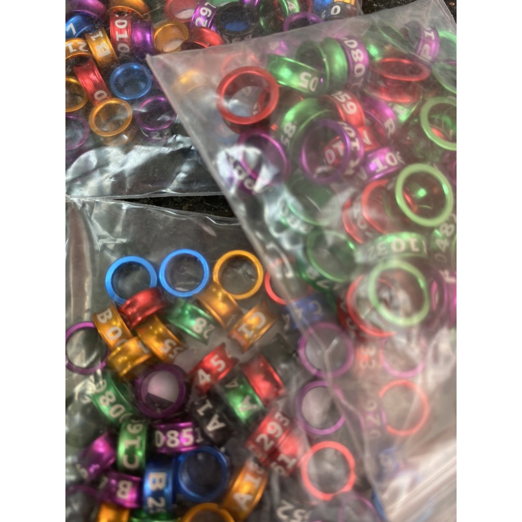 Bộ 10 Vòng Đeo Chân Chim Nhiều Màu Sắc