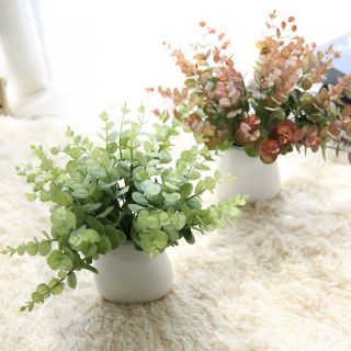 Cụm lá táo
