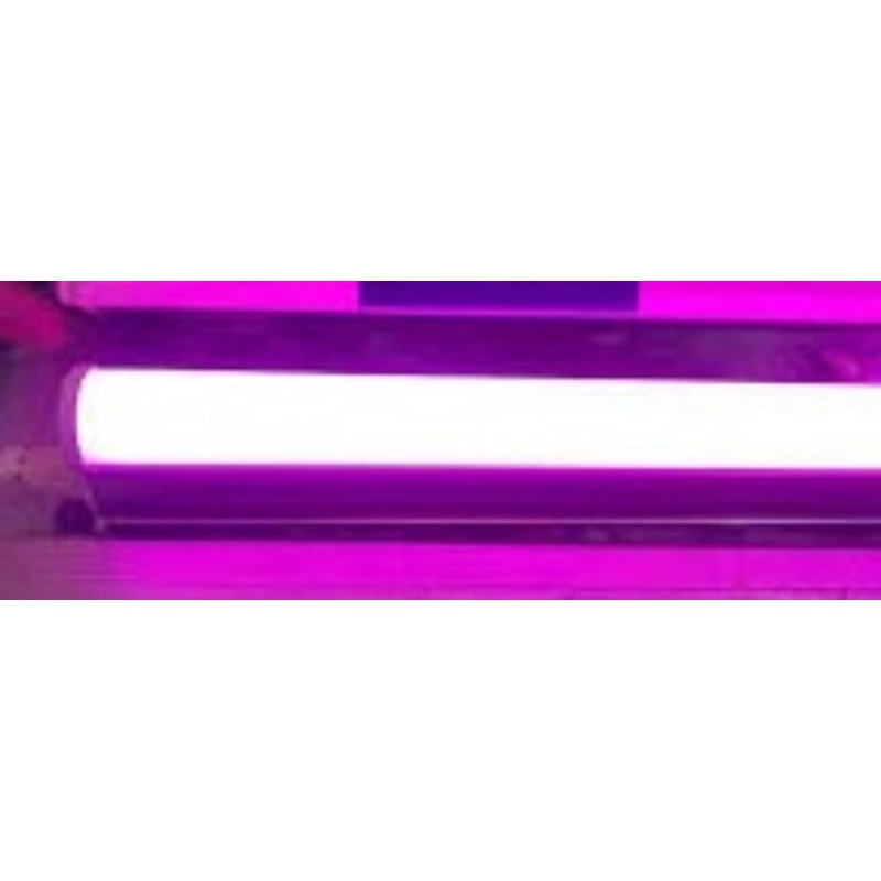 Bộ đèn led t4 3 tấc,đèn tủ,đèn bàn thờ