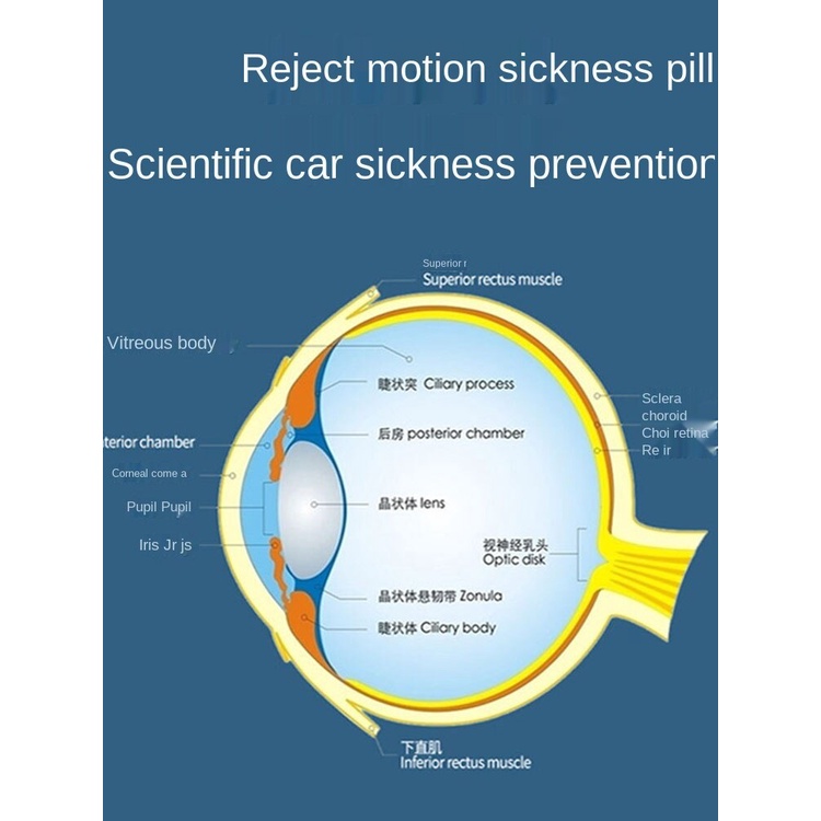Chống Say Tàu Xe Kính Không Cần Thiết Tạo Tác Say Tàu Xe Người Lớn Uống Thuốc Say Sóng3dChóng Mặt Chơi Trẻ Em Bé Du Lịch Cung Cấp~