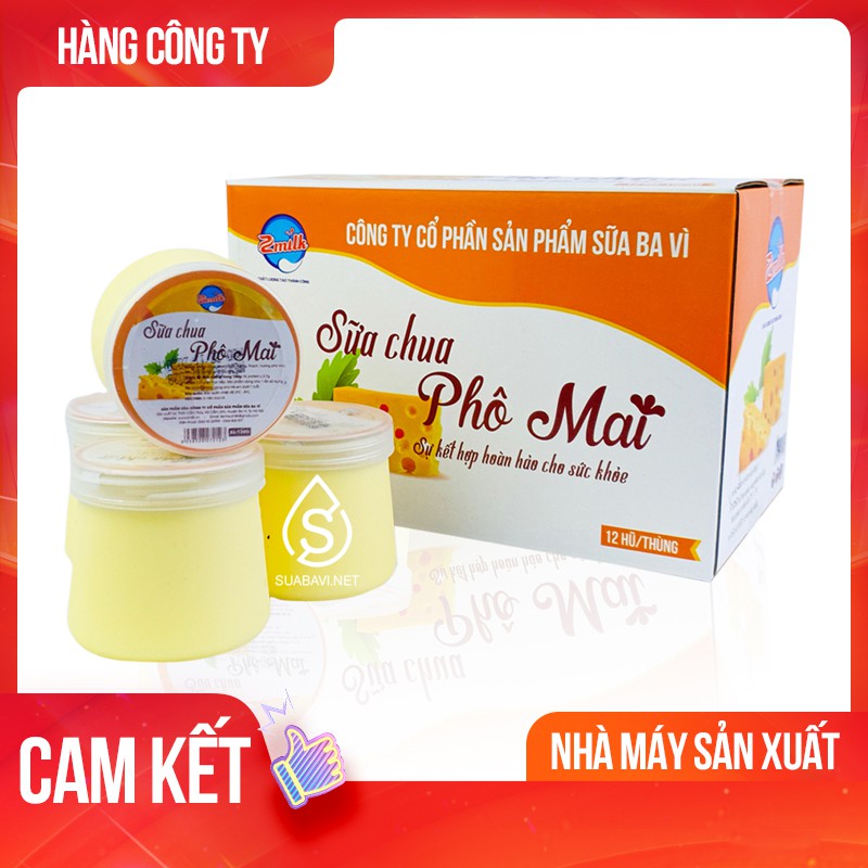 Sữa Chua Phô Mai Ba Vì - Zmilk - Thùng 12 Hũ | BigBuy360 - bigbuy360.vn