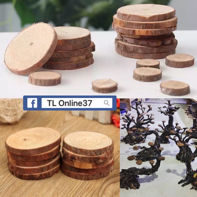 Lát gỗ Lũa gắn rêu - Trang trí bể thuỷ sinh handmade - Xưởng Online37